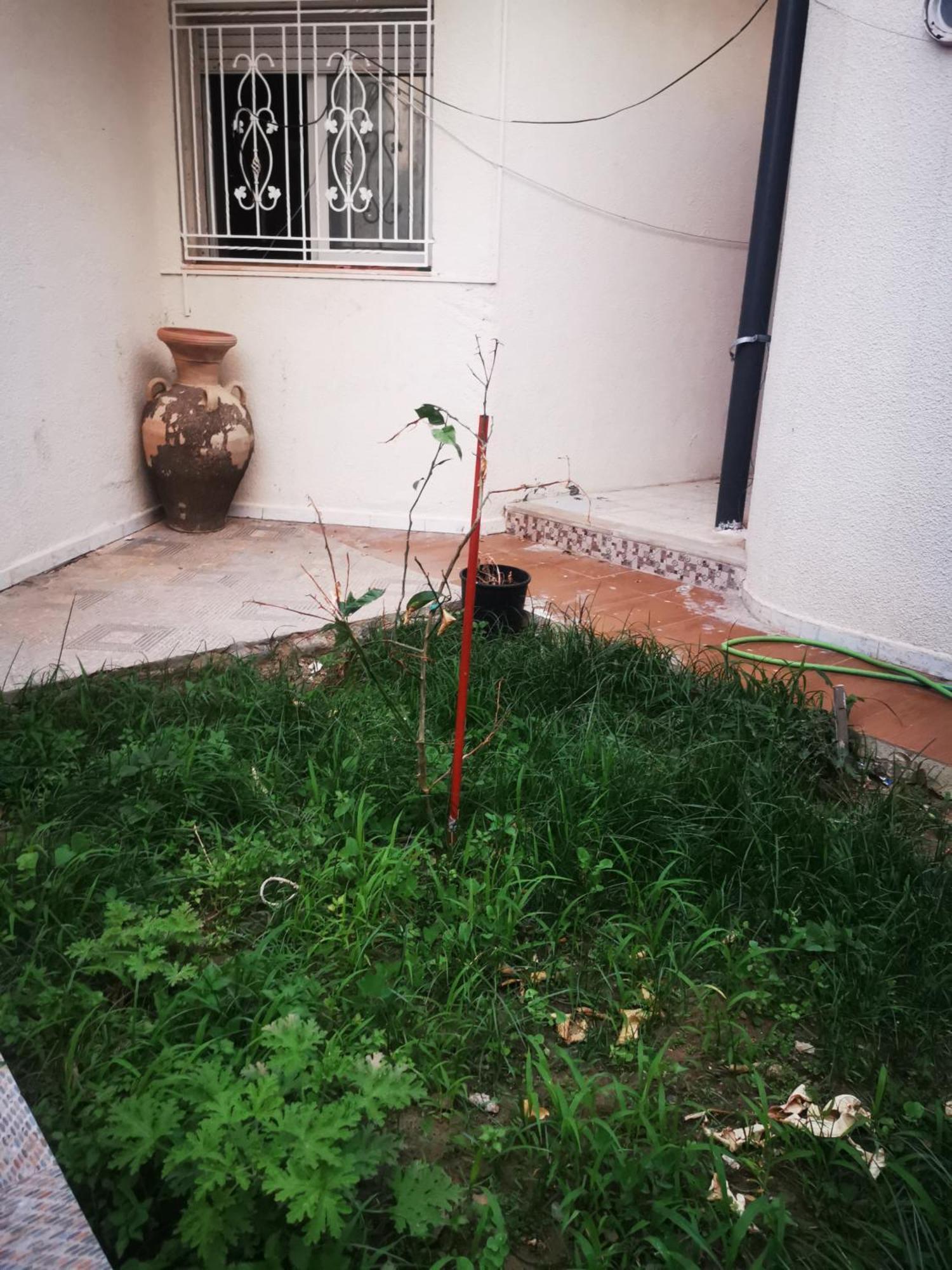 Tiba Soliman Апартаменты